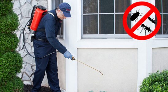 Bartın Karınca İlaçlama böcek ilaçlama ve haşere kontrolü — ilaclama-tr.com